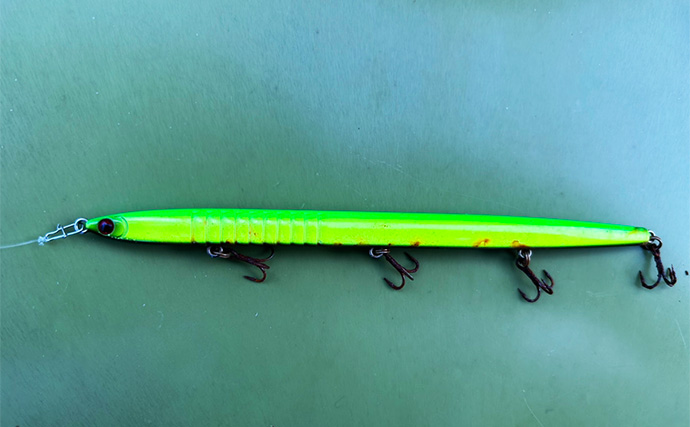 「たかがスナップされどスナップ！」シーバスゲームにおけるスナップの重要性と選び方を解説