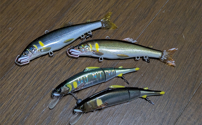 ベイトフィネスタックルでのアユルアー釣行で本命と対面成功【京都】軽量シンカーが奏功