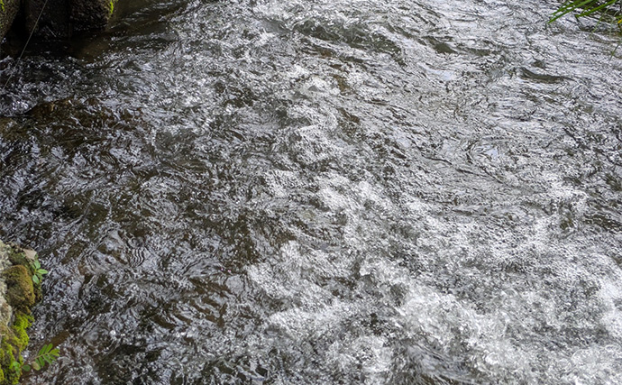 渇水河川でのアユルアー釣行で4匹手中【京都】バイブレーションルアーで激流を攻略