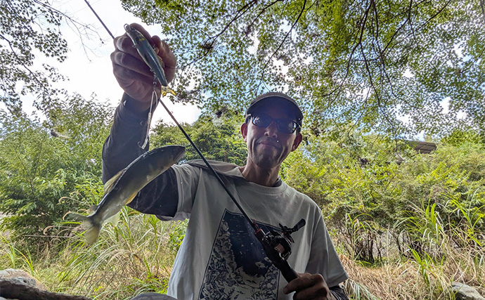 渇水河川でのアユルアー釣行で4匹手中【京都】バイブレーションルアーで激流を攻略