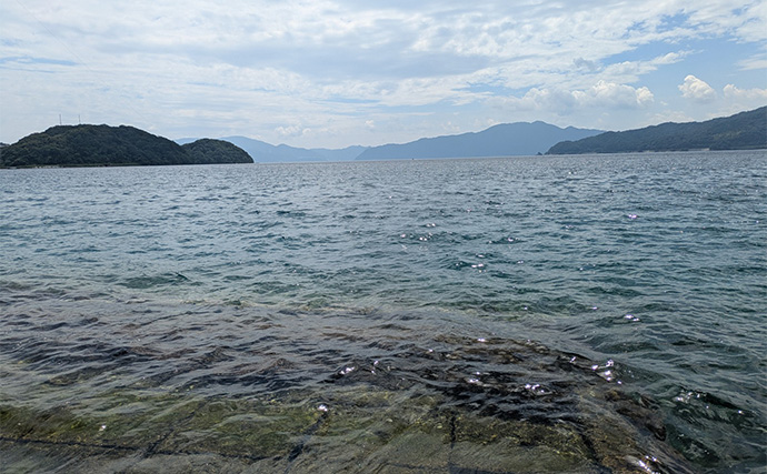 漁港のちょい投げ釣りでシロギス27匹を手中【京都】投げるポイント微調整でゲスト対策