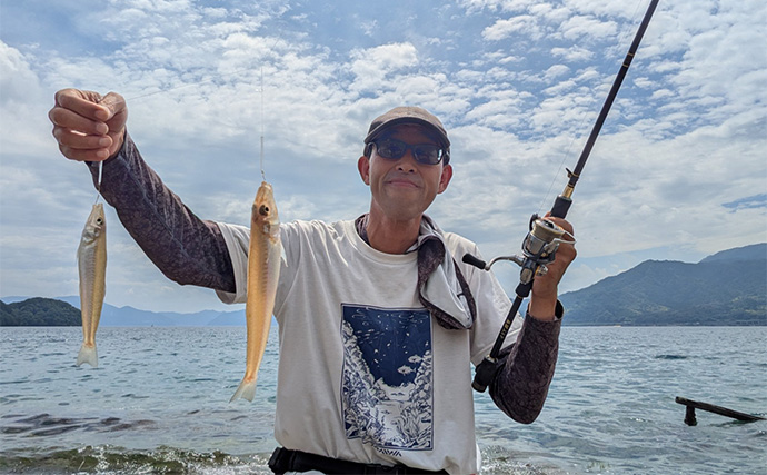 漁港のちょい投げ釣りでシロギス27匹を手中【京都】投げるポイント微調整でゲスト対策