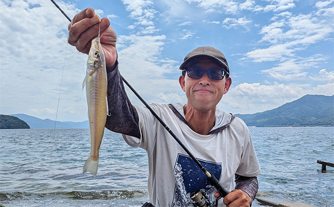 漁港のちょい投げ釣りでシロギス27匹を手中【京都】投げるポイント微調整でゲスト対策