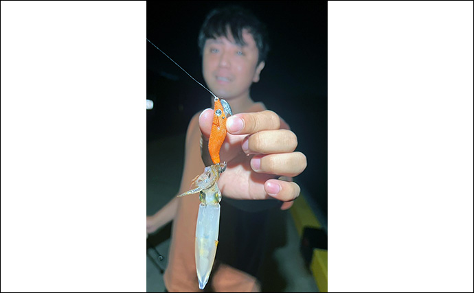 真夏の堤防夜釣りで【ヒイカ連発！】 エギのカラー使い分けが的中しジップロック満タンに