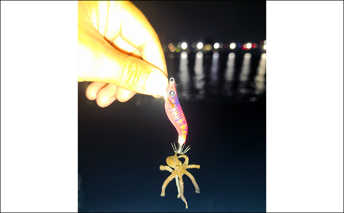 真夏の堤防夜釣りで【ヒイカ連発！】 エギのカラー使い分けが的中しジップロック満タンに