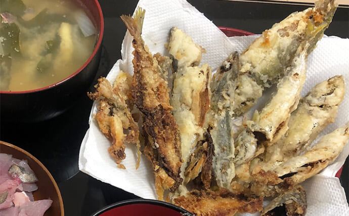 「居酒屋へ釣魚の持ち込みはアリ？」基本的には歓迎されないことが多いから気をつけよう