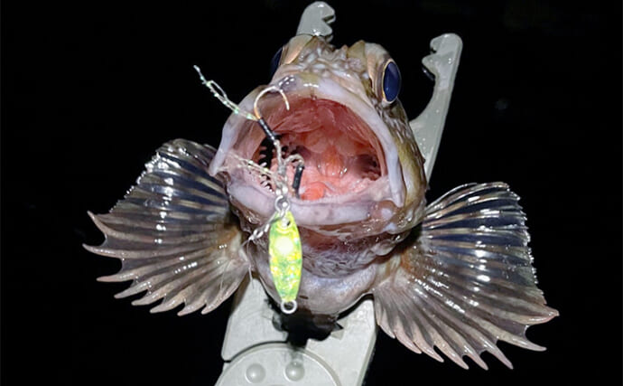 マイクロメタルジグが夏のライトゲームを盛り上げる！　デイ＆ナイトの使い方を解説