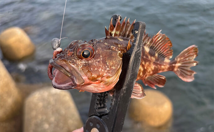 「猛暑でも釣りをしたい！」短時間での穴釣りや雑魚釣りで夏の釣りを楽しもう