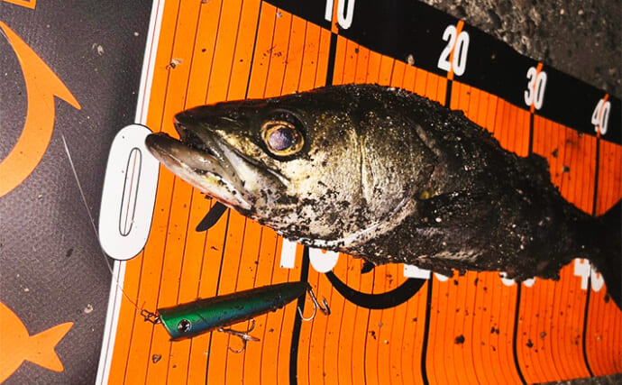 「たかがスナップされどスナップ！」シーバスゲームにおけるスナップの重要性と選び方を解説