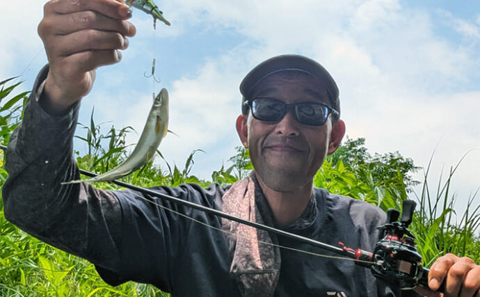 ベイトフィネスタックルでのアユルアー釣行で本命と対面成功【京都】軽量シンカーが奏功