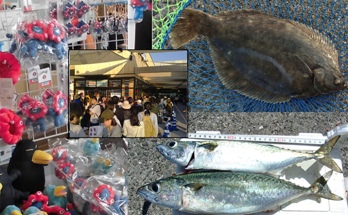 「釣り人なら万博を人一倍楽しめる？」釣りと大阪・関西万博は共通点がいっぱい