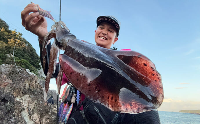 伊豆エリアの夏エギングで600g級アオリイカを手中【静岡】3.5号エギにヒット