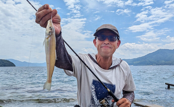 漁港のちょい投げ釣りでシロギス27匹を手中【京都】投げるポイント微調整でゲスト対策