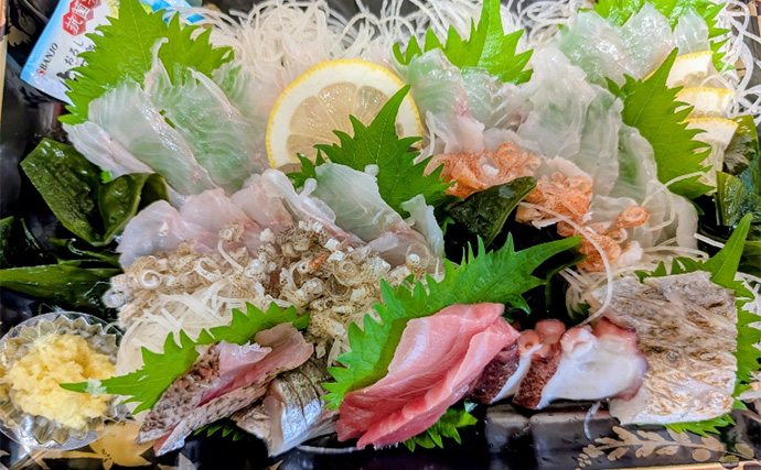 沼津エリアのボート釣りでアカハタにオオモンハタ【静岡】ひとつテンヤでキャッチ