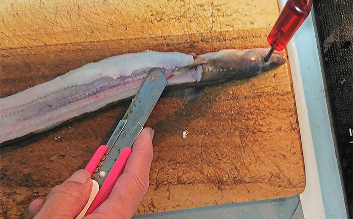 夏が旬の釣魚で作る「マアナゴの黒糖煮」レシピ　サッと煮るのがコツ