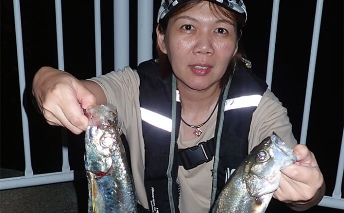 夜の波止で50cm級「有明ターポン（ヒラ）」手中【熊本】虫エサの電気ウキ仕掛けにヒット