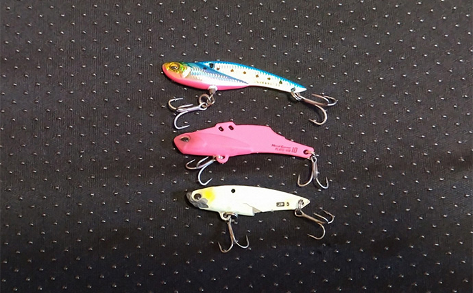 バイブレーションルアーで【狙ってボラを釣ろう！】 派手なカラーに好反応の傾向あり