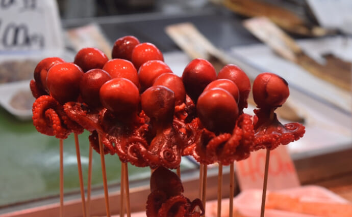 イイダコ水揚げ量が激減したのは高級魚『ハモ』が増えたから？　完全養殖技術に期待