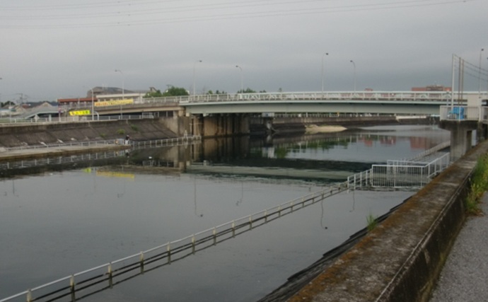 「境川テラス」でマハゼ釣り【千葉・浦安】ヘチ狙いに特化すればハゼ連発か