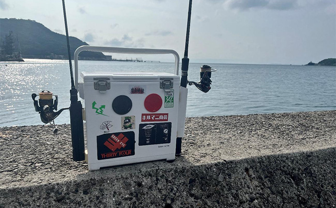 紀北エリアのライトゲームで20cm級アジをキャッチ【和歌山】常夜灯周りでヒット！