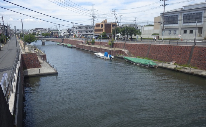 「境川テラス」でマハゼ釣り【千葉・浦安】ヘチ狙いに特化すればハゼ連発か