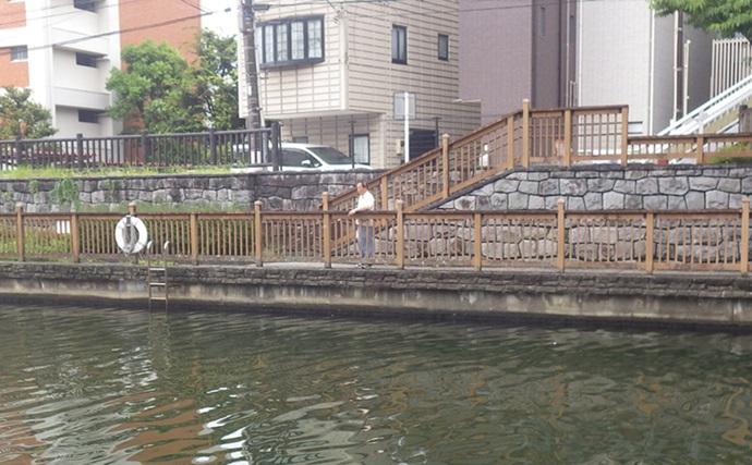 小名木川でマハゼ釣りポイントをリサーチ【東京】3ヶ所でコンスタントに本命ヒット