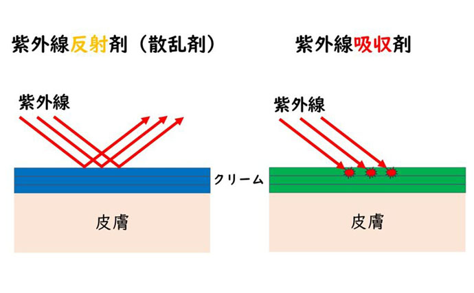 日焼け止めが【サンゴの白化】の原因に？ ハワイなどでは使用自体が規制