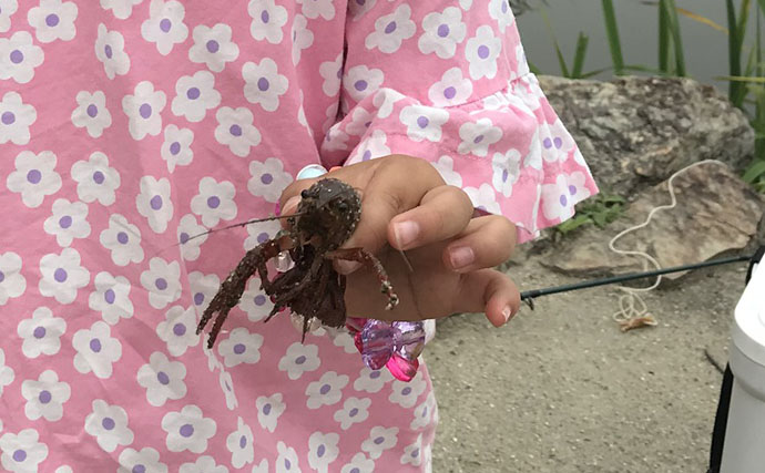 身近な水辺に棲息している『クサガメ』　よく似た他のカメとの見分け方は？