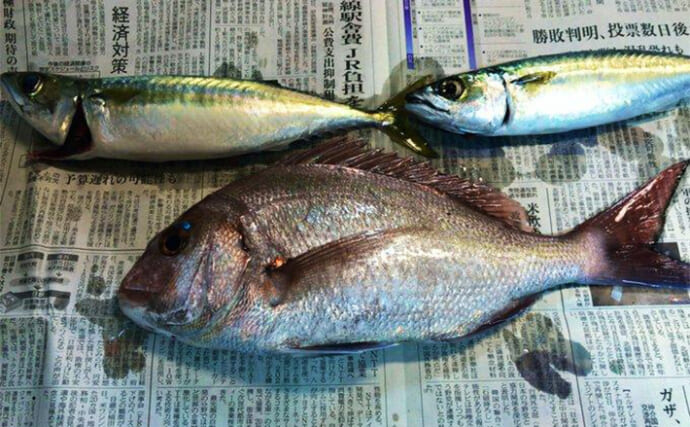 新聞紙は隠れた釣りの便利グッズだった！ 「目から鱗」の4つの使い方を紹介