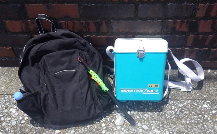 「境川テラス」でマハゼ釣り【千葉・浦安】ヘチ狙いに特化すればハゼ連発か