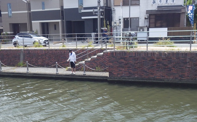 「境川テラス」でマハゼ釣り【千葉・浦安】ヘチ狙いに特化すればハゼ連発か