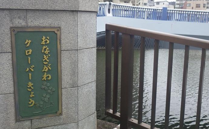 小名木川でマハゼ釣りポイントをリサーチ【東京】3ヶ所でコンスタントに本命ヒット