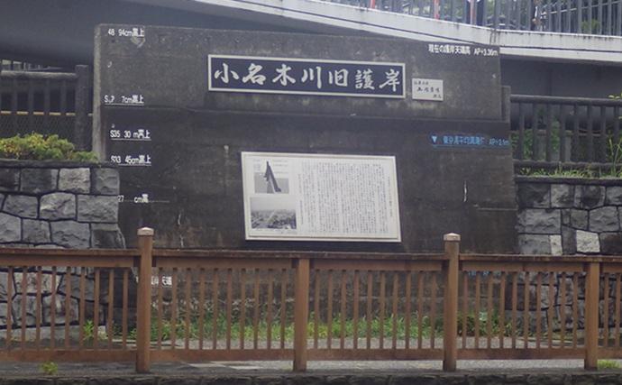 小名木川でマハゼ釣りポイントをリサーチ【東京】3ヶ所でコンスタントに本命ヒット