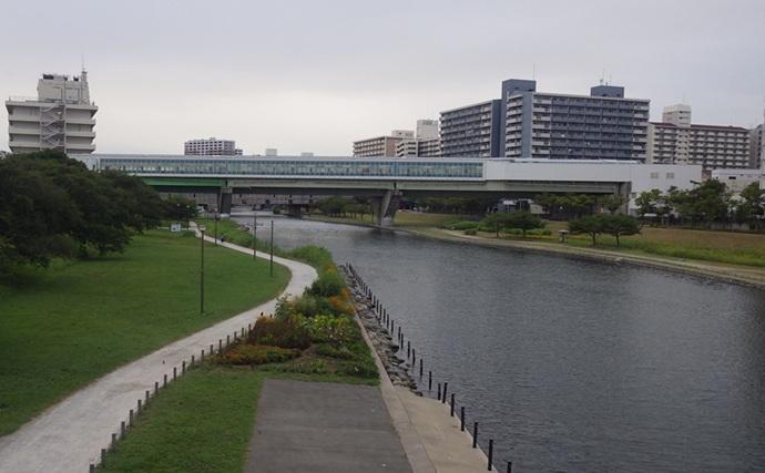 小名木川でマハゼ釣りポイントをリサーチ【東京】3ヶ所でコンスタントに本命ヒット