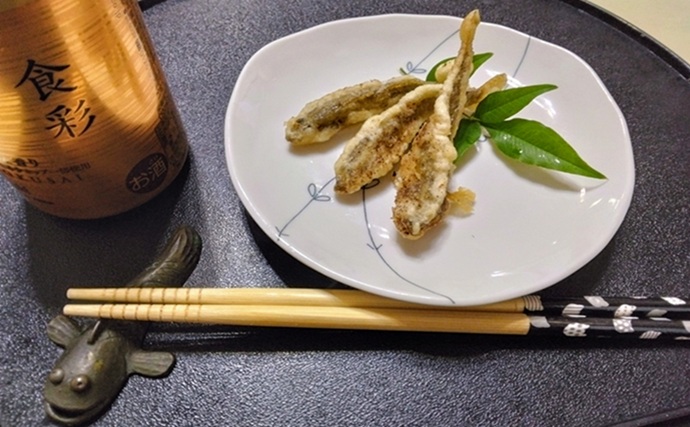 「境川テラス」でマハゼ釣り【千葉・浦安】ヘチ狙いに特化すればハゼ連発か