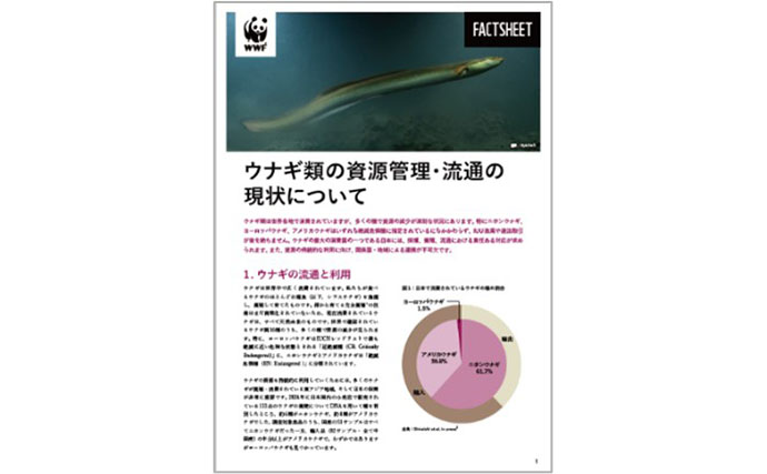 「ウナギの蒲焼」の約4割が北中米産＜アメリカウナギ＞　DNA分析で明らかに