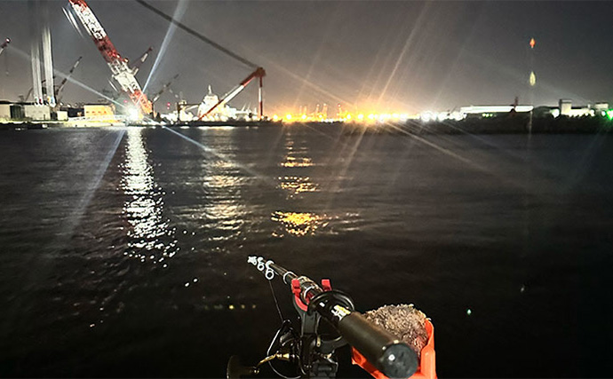 釣れないと噂の『杉田臨海緑地』で大本命アジをキャッチ【神奈川】夜釣りでヒット