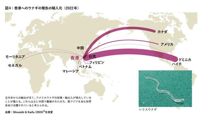 「ウナギの蒲焼」の約4割が北中米産＜アメリカウナギ＞　DNA分析で明らかに