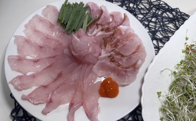 学者もウッカリ間違えた『ウッカリカサゴ』　カサゴとは味も違った？