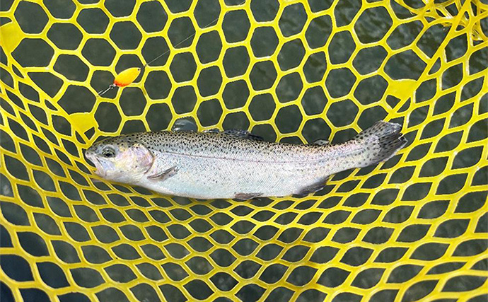 千早川マス釣り場のエリアトラウトでニジマス26匹手中【大阪】表層攻略＆平日放流で連発