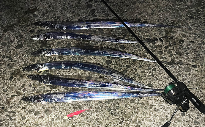 黒潮大蛇行の解消が釣りに与える影響とは？　ポイント再編で「改めて探り直す楽しみ」も！