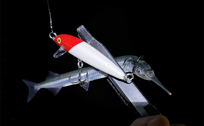 秋に沿岸に現れるサヨリはルアーで釣れるのか？ 食わすより引っ掛けるが正解か