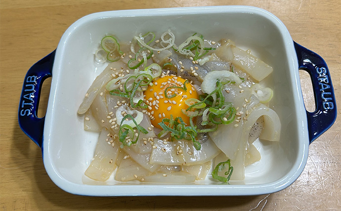 越前海岸で秋エギングが開幕！【福井】新子アオリイカ3匹キャッチに成功