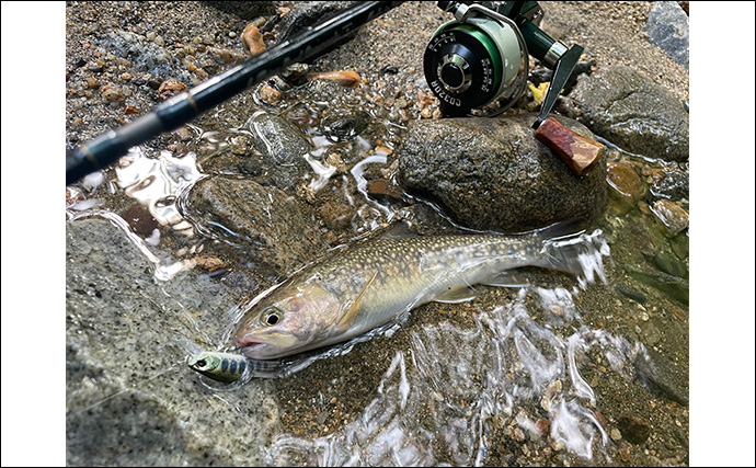 「夜にフラッシュはダメ？」釣った魚を美しく残すスマホ写真撮影方法を徹底解説