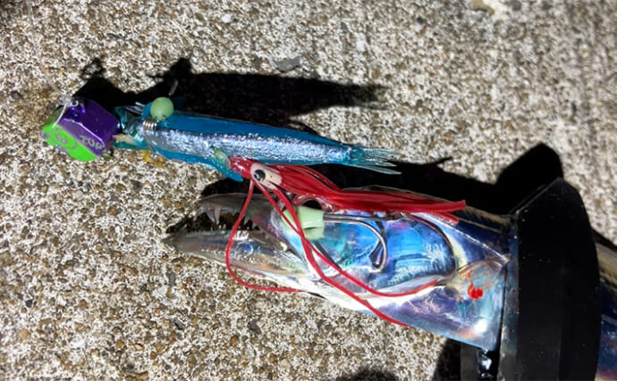 波止での遠投でタチウオ4本をキャッチ【大阪湾】テンヤ遠投＆速攻アクションが的中！