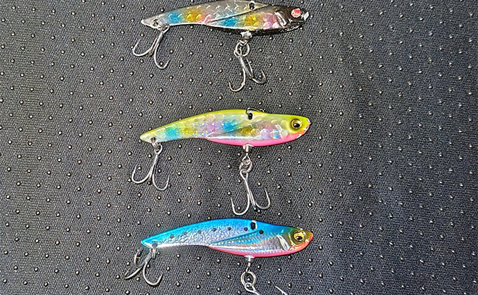 良型ボラがルアーに好反応！【千葉・村田川】派手なカラー＆トリッキーなアクションが吉