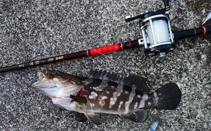 「漁港で高級魚クエが釣れる？」 エサ・ルアー釣りどちらでもクエキャッチに成功【和歌山】