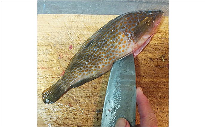 釣った魚で作る「コクうま」レシピ：キジハタの甘みそ焼き　みそがミソ？