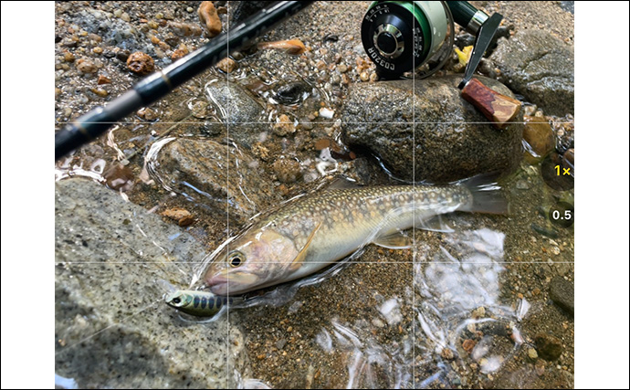 「夜にフラッシュはダメ？」釣った魚を美しく残すスマホ写真撮影方法を徹底解説