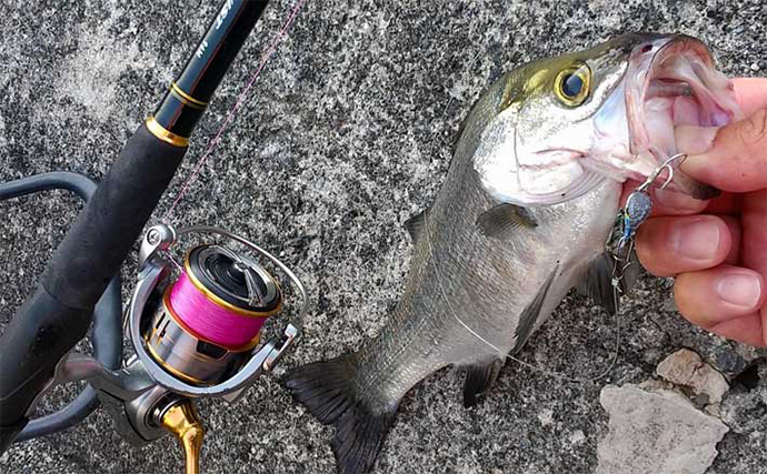 【2025年版】エギングロッドおすすめ20選！　初心者にもわかる失敗しない選び方を解説